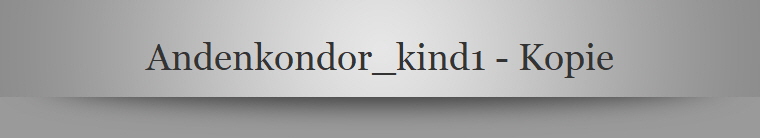 Andenkondor_kind1 - Kopie