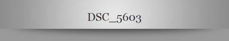 DSC_5603
