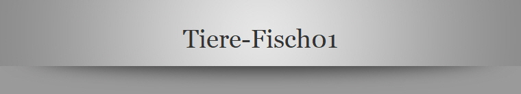 Tiere-Fisch01