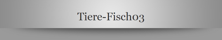 Tiere-Fisch03