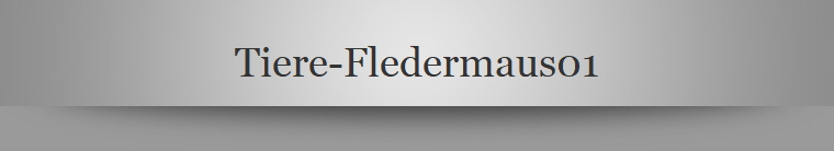 Tiere-Fledermaus01