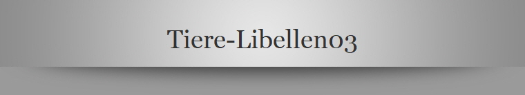 Tiere-Libellen03