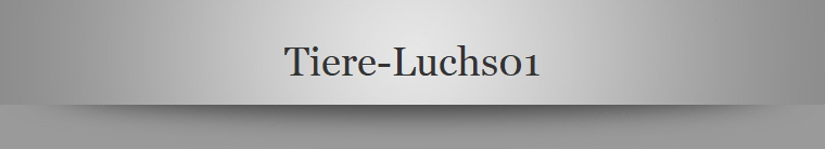Tiere-Luchs01