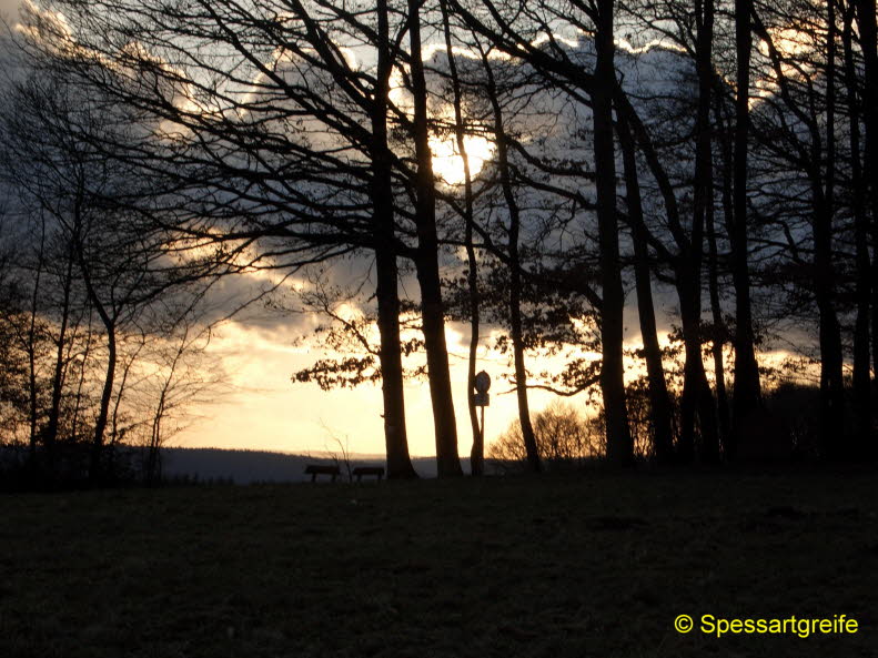 Hasselberg01