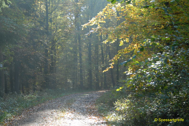 Hasselberg03