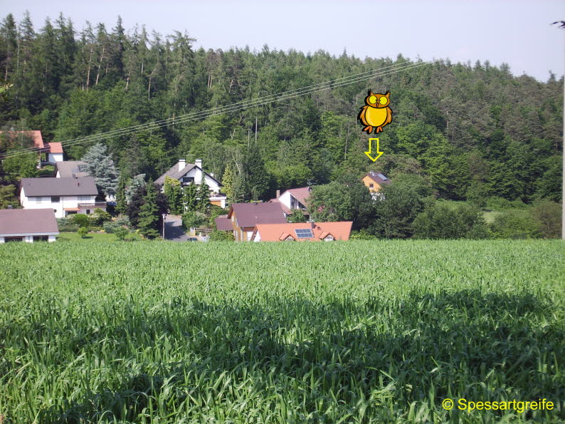 Hasselberg