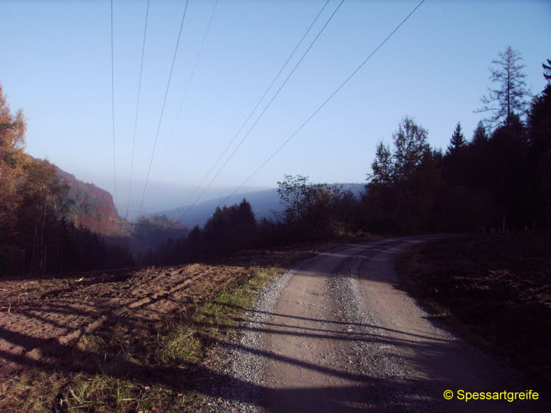 Hasselberg12