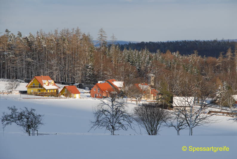 Winter 