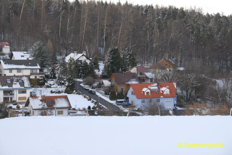 Winter 